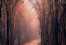 九球体育官网:记者:青岛半岛U17梯队将远征西班牙,开启两周的竞技文化之旅.