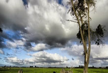 九球体育官网:西甲单场:巴萨客场逆转马竞继续领跑2025-03-18.