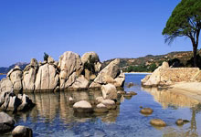 九球体育官网:热议李新翔表现:收获宝藏小将比3分重要,主导球队绝境求生.